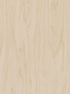 COVER STYL Wood Light - Gold Pale Birch SS-CT19