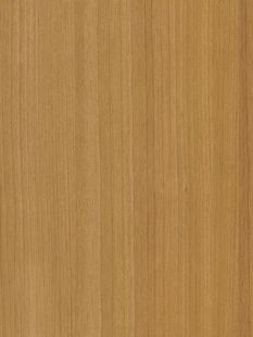 COVER STYL Wood Medium - Honey Birch SS-CT22