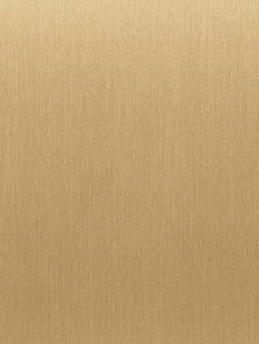 COVER STYL Steel Brushed - Soft Gold SS-NE47