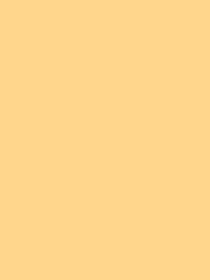 COVER STYL Color Essential - Honey Mustard SS-RM16